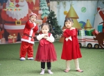 Merry Christmas 2024 - Ghi dấu mùa Giáng sinh an lành Hoa Trạng Nguyên